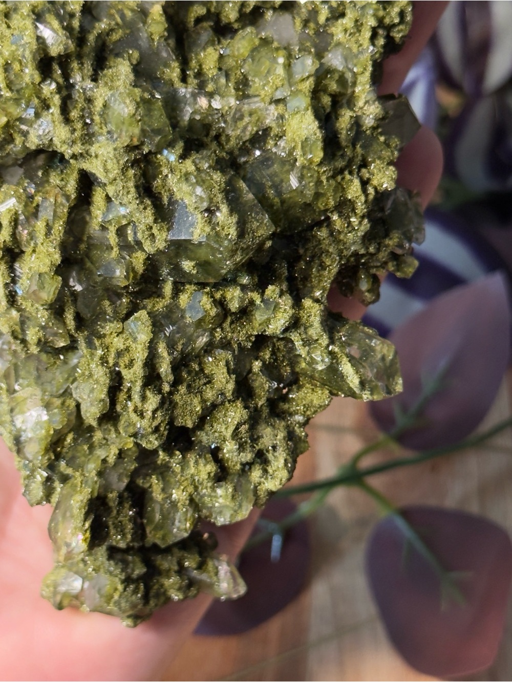 Fairy Forest Quartz (Epidote + Quartz) - Picture 8 of 10